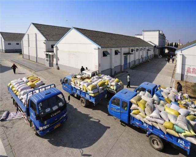 迎接第39个世界粮食日,市粮食收储中心这样做…