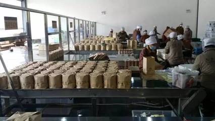 携贺开古树茶,迎普洱新世界