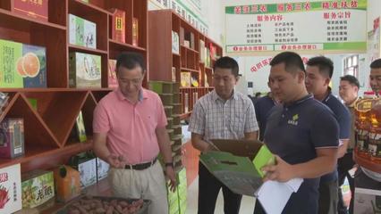 省商务厅来我县调研供销合作社及电商发展情况