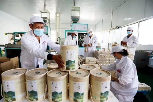 谷香飘万里，增收靠大米 大额资金如何助力产业腾飞