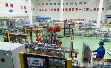 河北奶业振兴之路 以质量安全为基，大额资金筑牢发展防线